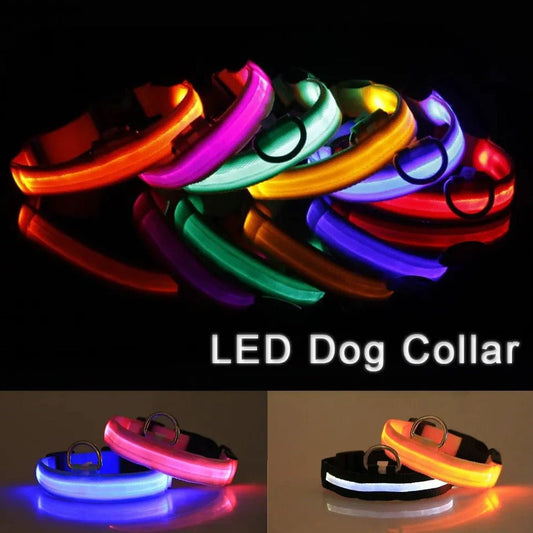 LED Adjustable Dog Collar Blinking Flashing Light up Glow Pets Safety Waterproof - LUCKY FIG